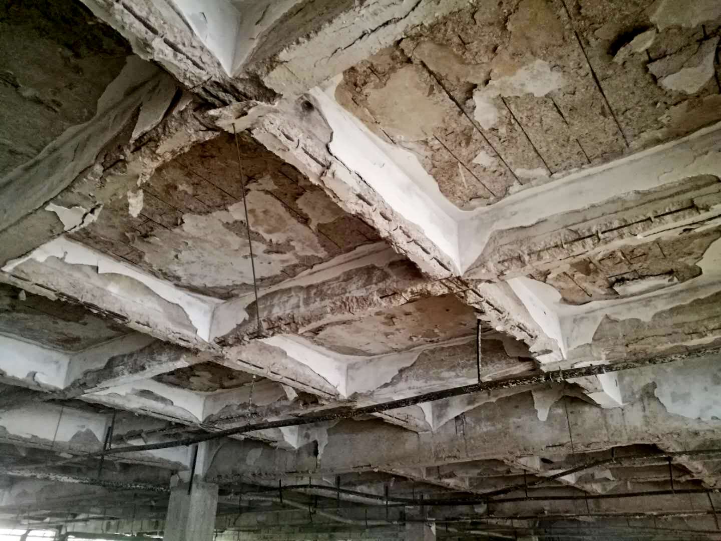 澳门免费原料网挂牌