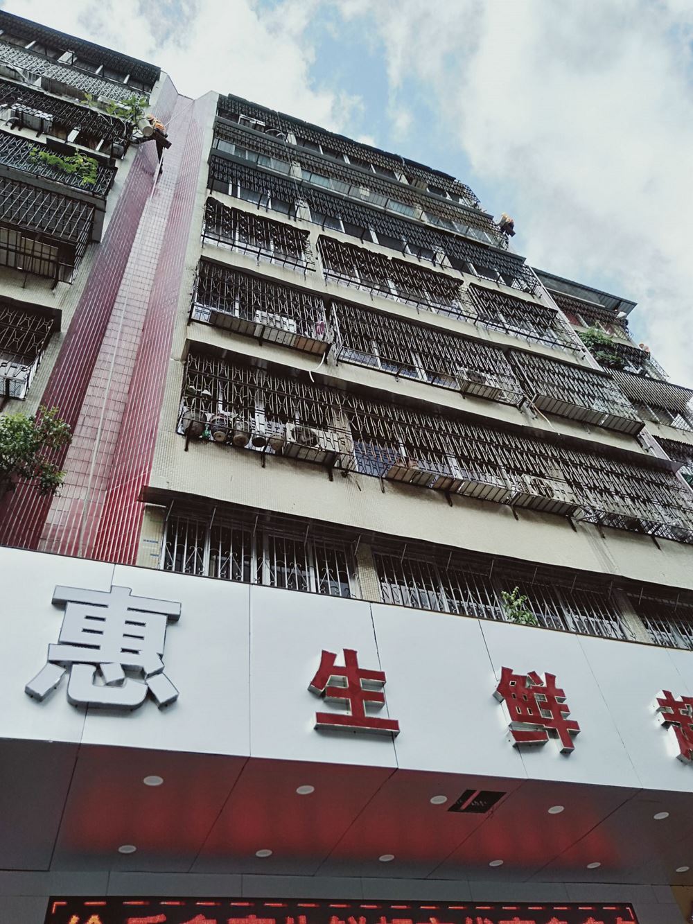 澳门免费原料网挂牌