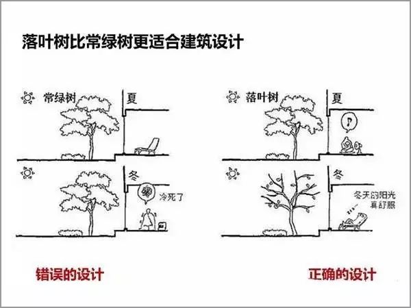 澳门免费原料网挂牌