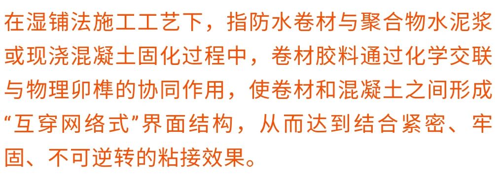 澳门免费原料网挂牌