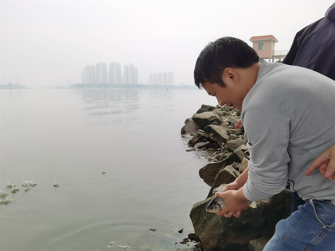 澳门免费原料网挂牌
