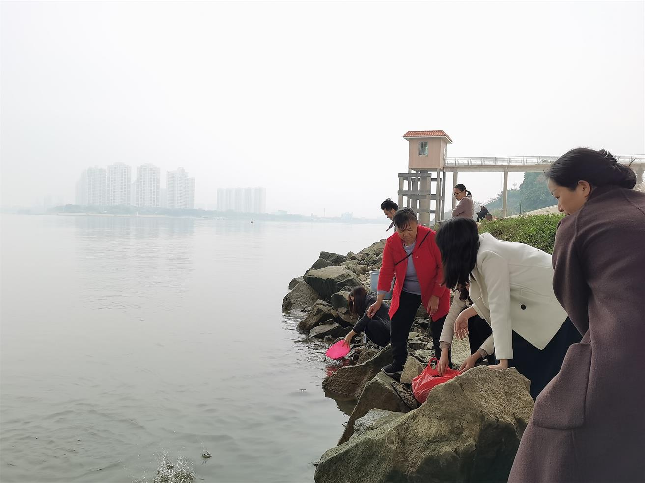 澳门免费原料网挂牌