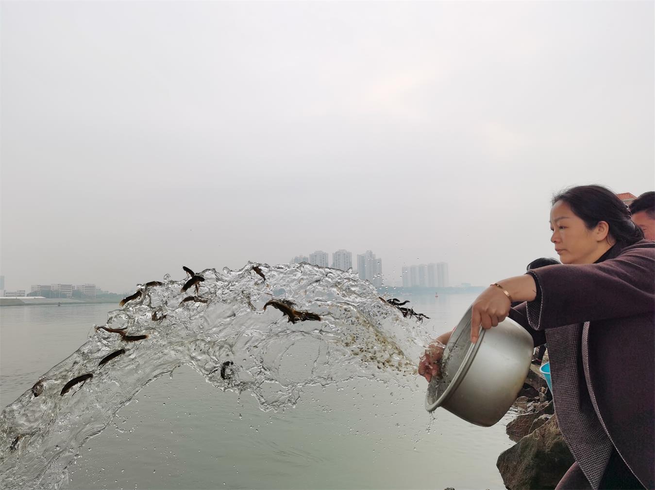 澳门免费原料网挂牌