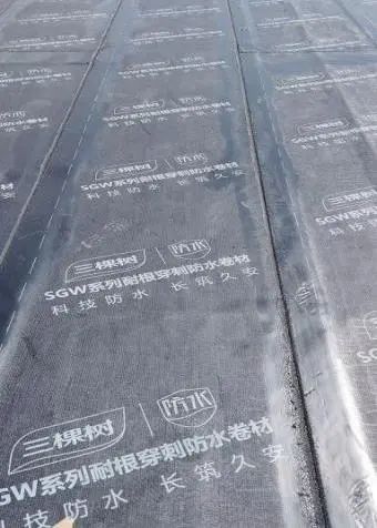 澳门免费原料网挂牌