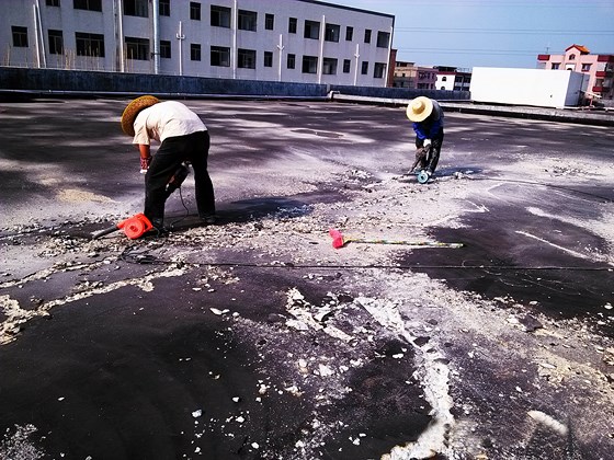 澳门免费原料网挂牌