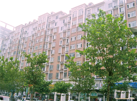 澳门免费原料网挂牌