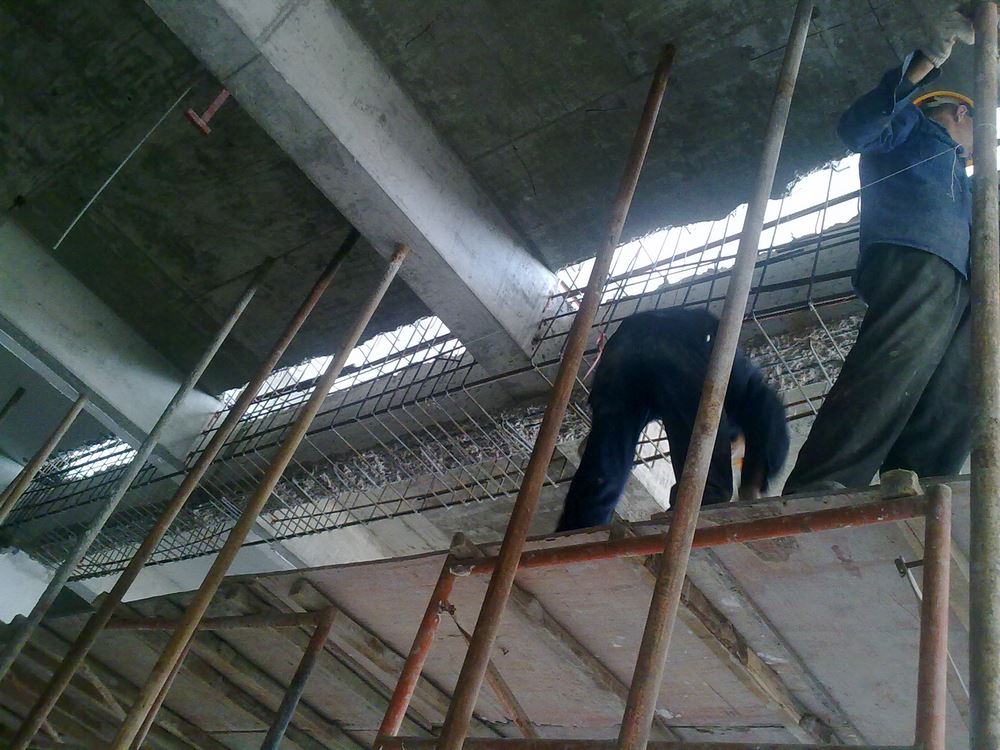 澳门免费原料网挂牌