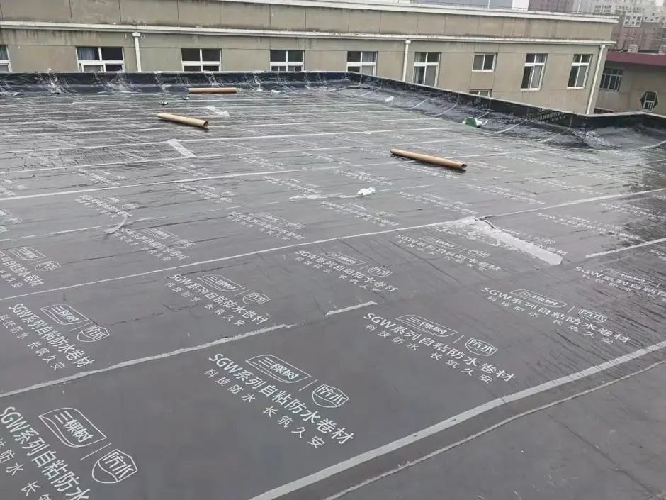 澳门免费原料网挂牌
