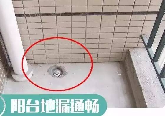 澳门免费原料网挂牌
