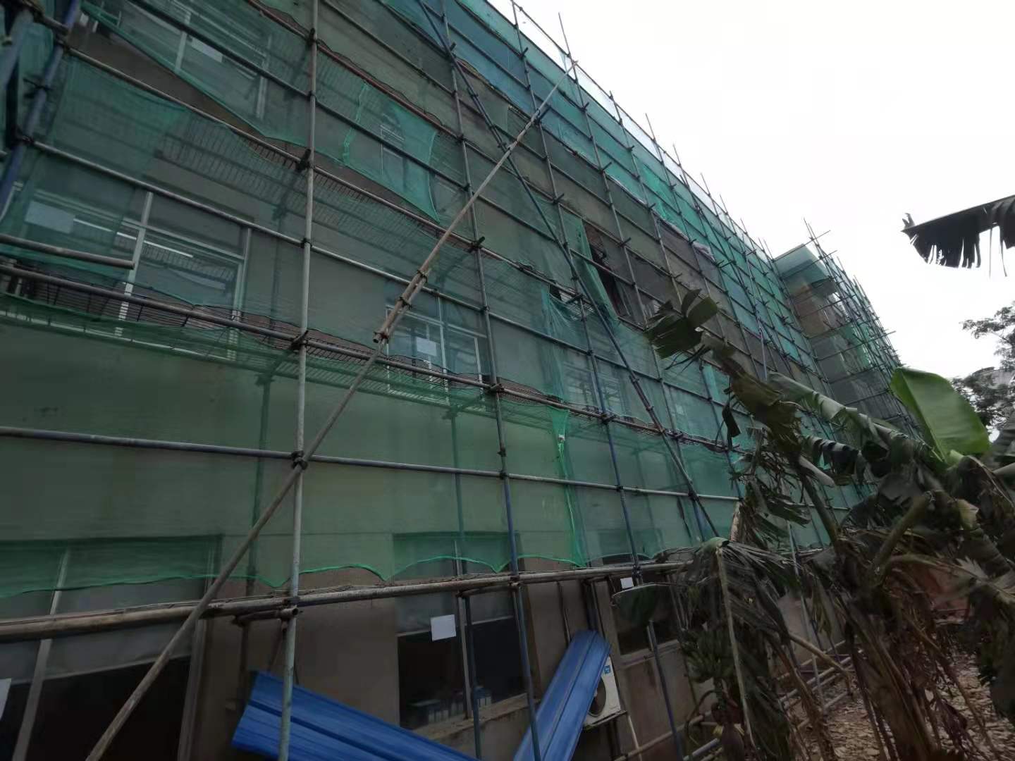 澳门免费原料网挂牌