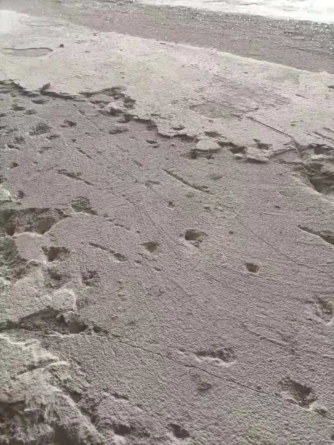 澳门免费原料网挂牌