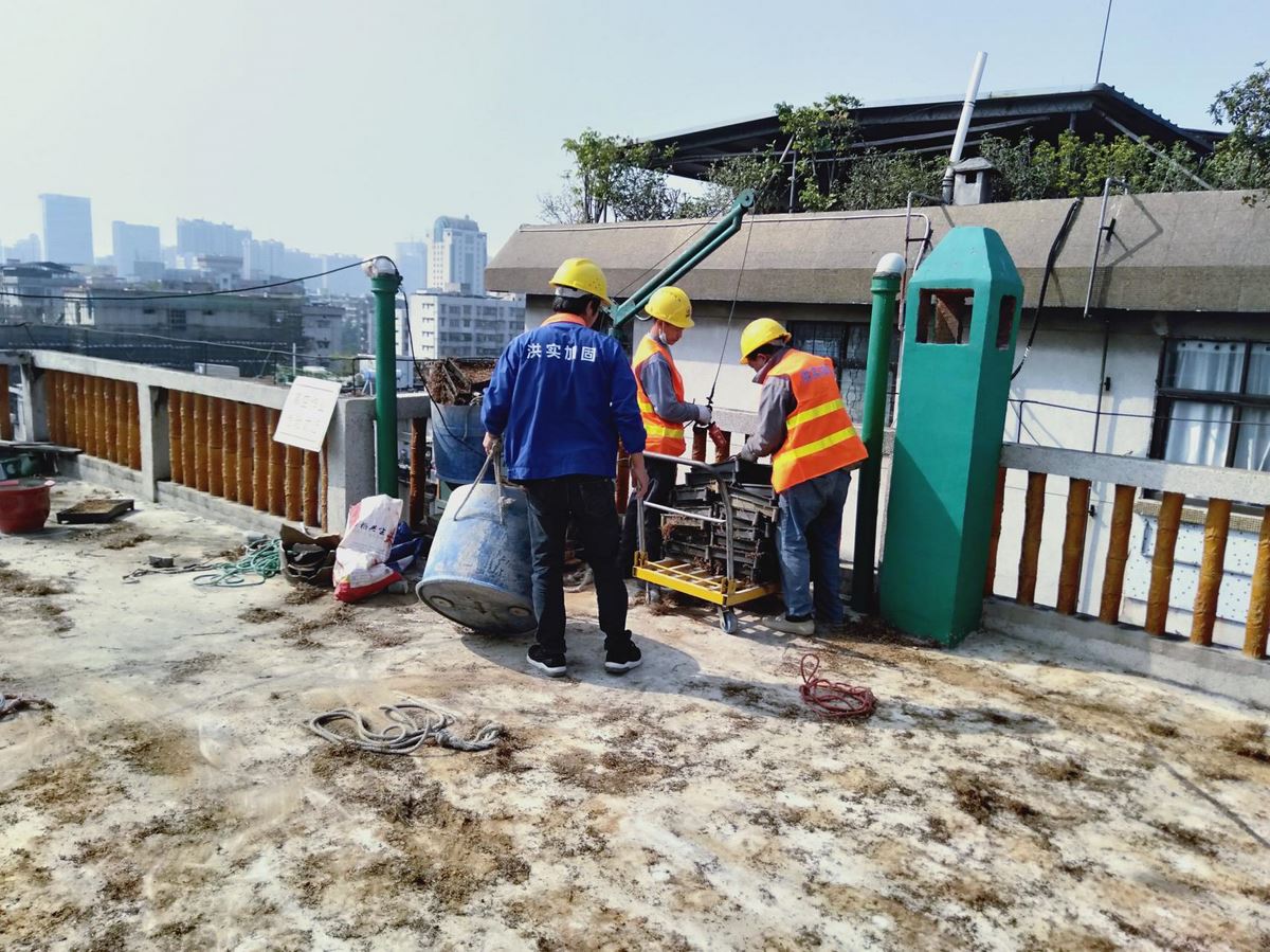 澳门免费原料网挂牌