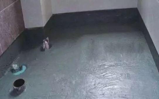 澳门免费原料网挂牌