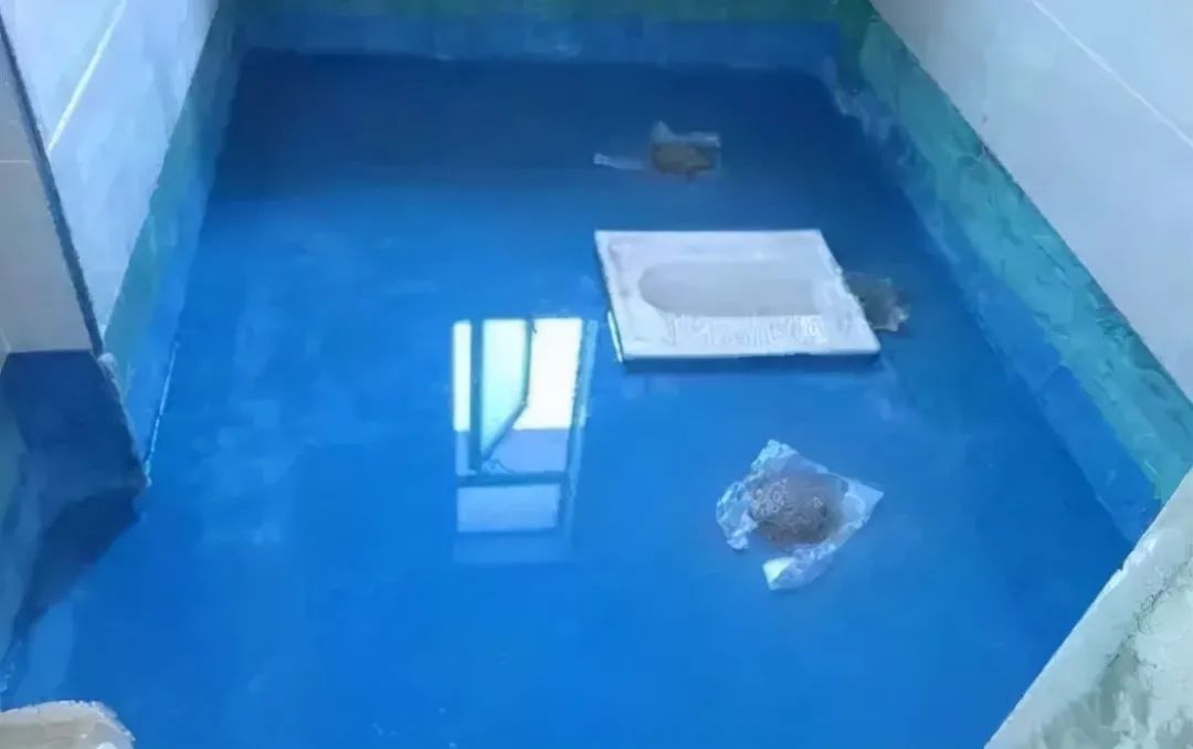 澳门免费原料网挂牌