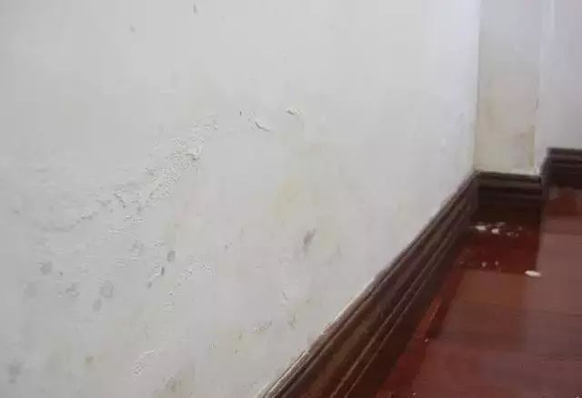 澳门免费原料网挂牌