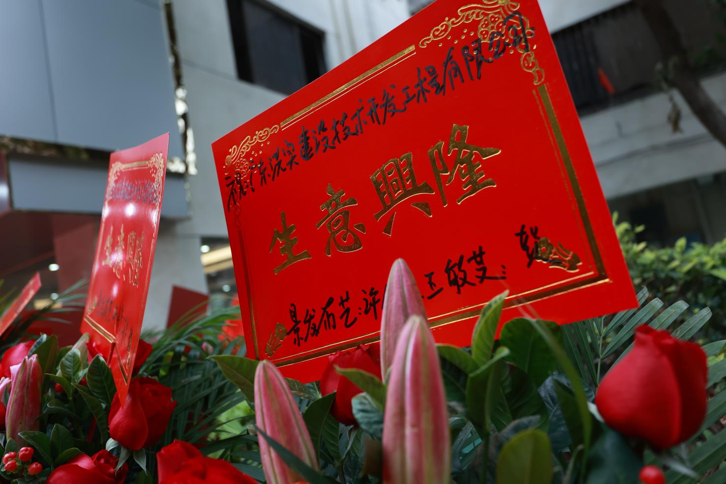 澳门免费原料网挂牌