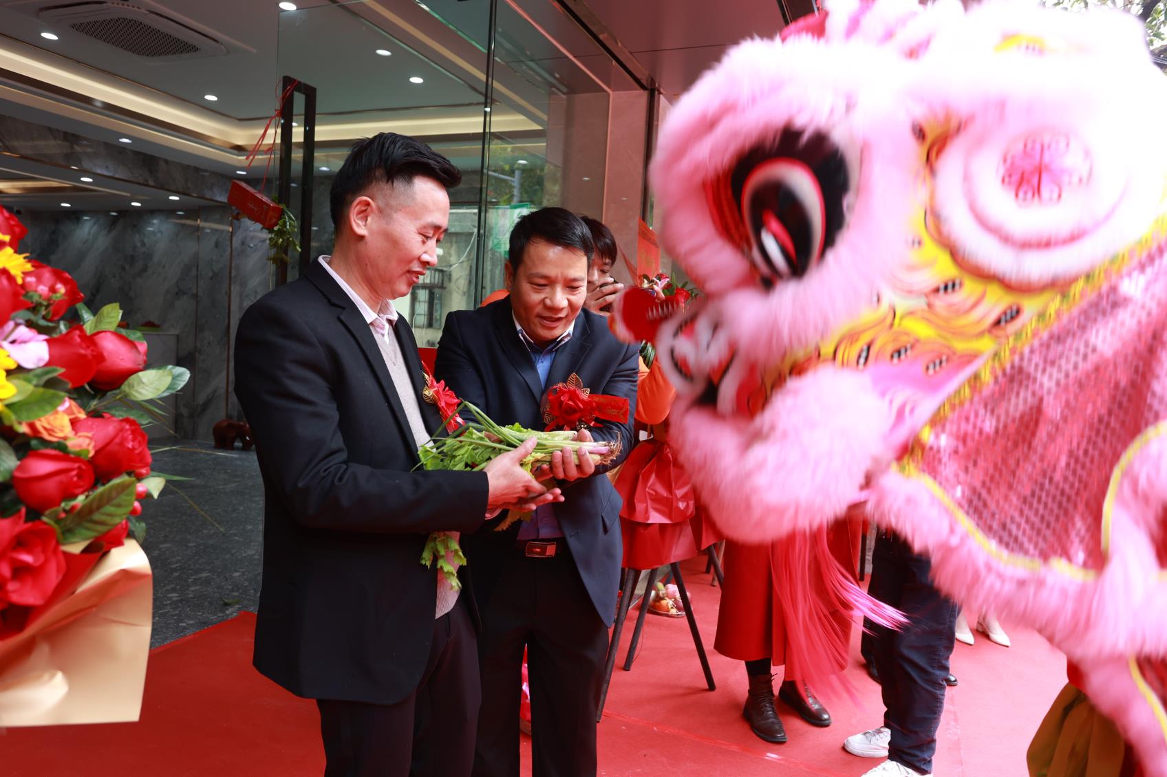 澳门免费原料网挂牌