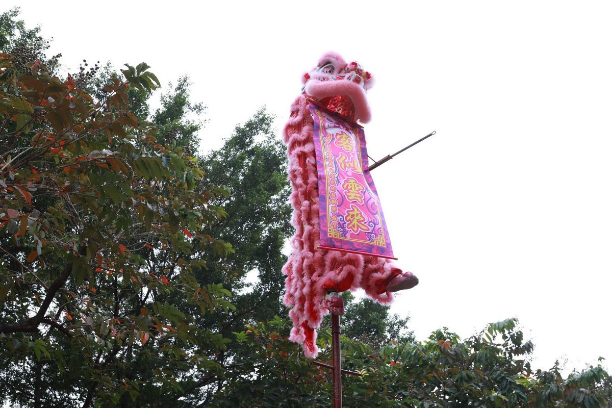 澳门免费原料网挂牌