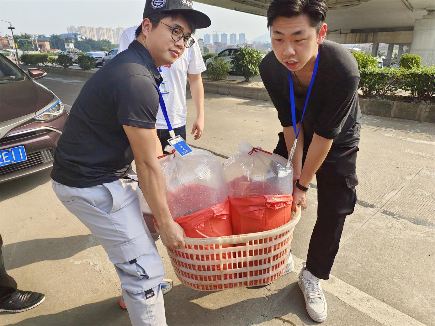 澳门免费原料网挂牌