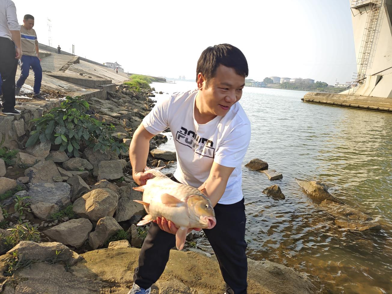 澳门免费原料网挂牌