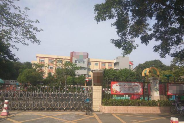 澳门免费原料网挂牌