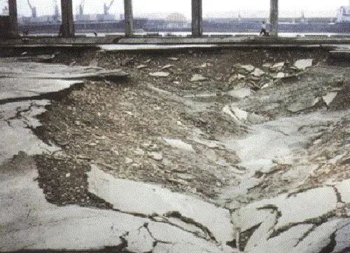 澳门免费原料网挂牌