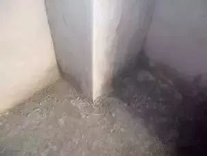 澳门免费原料网挂牌
