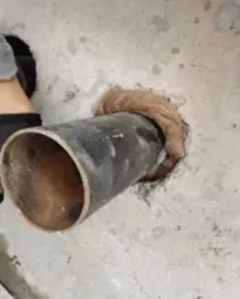 澳门免费原料网挂牌