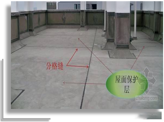 澳门免费原料网挂牌