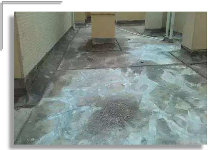 澳门免费原料网挂牌