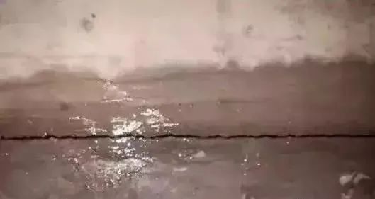 澳门免费原料网挂牌
