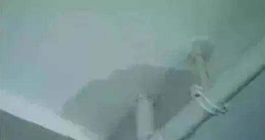 澳门免费原料网挂牌