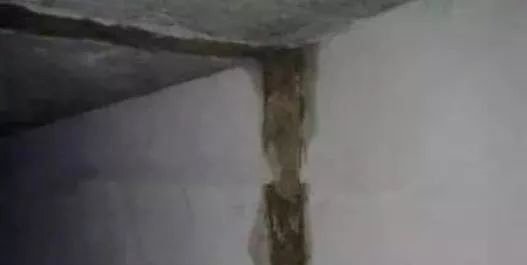 澳门免费原料网挂牌